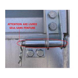 Axe seul pour pentures style (réf 3800) 