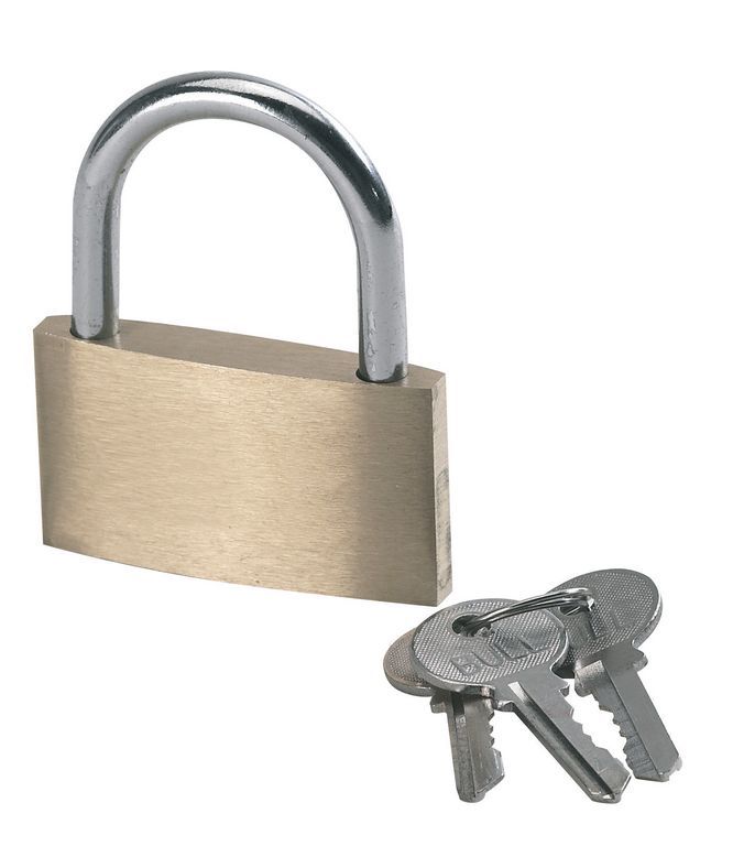 Cadenas Disque Antivol 7cm WERKTHOR - Sécurité Remorque Avec 2 Clés